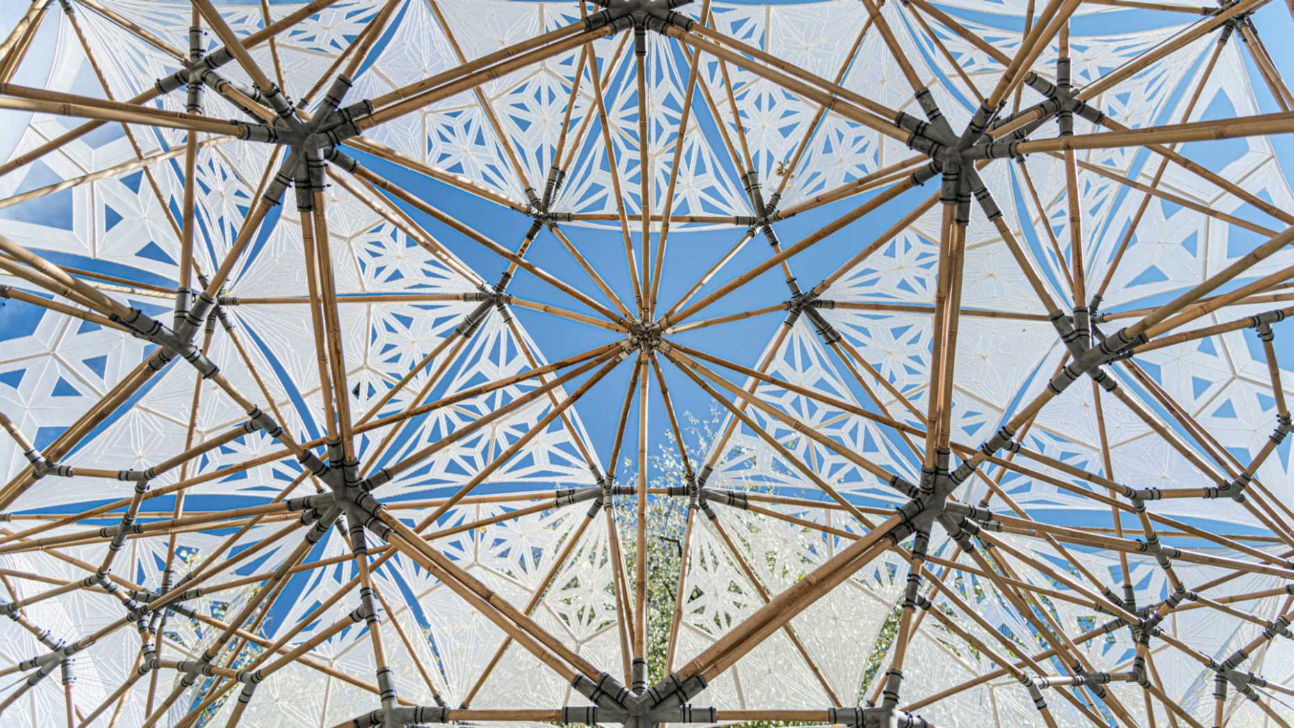 Digital Bamboo