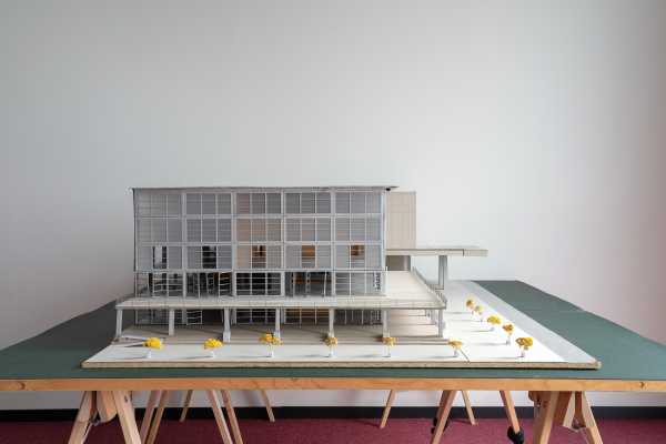 Enlarged view: 
